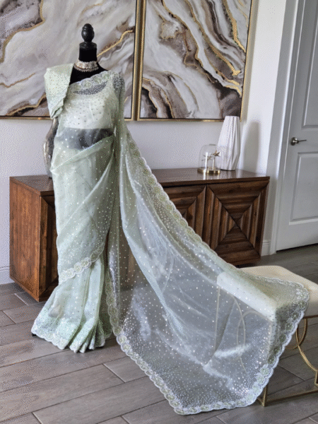 Mint Green Tissue Saree with Intricate Pitta Work and Embellished Borders